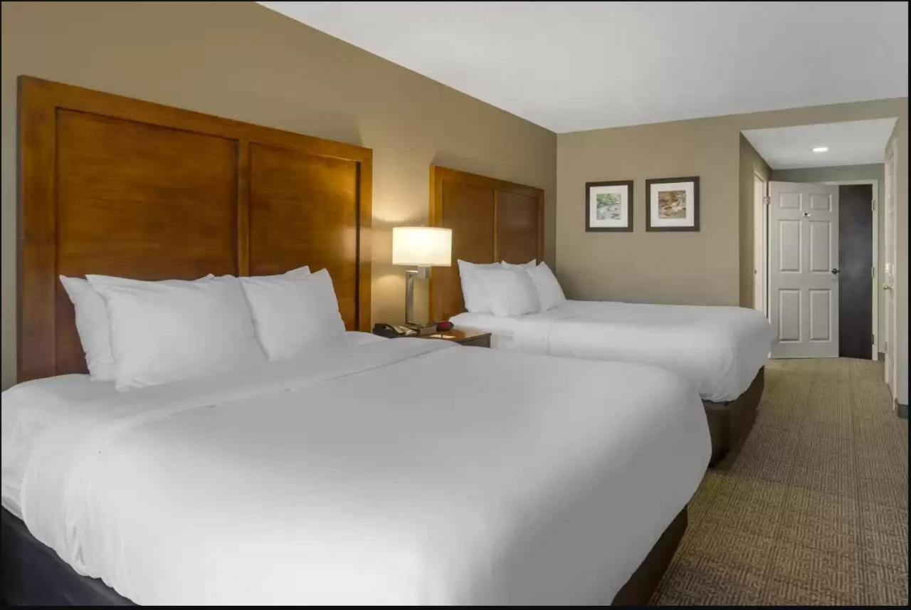 Comfort Inn & Suites Peachtree Corners Норкросс Экстерьер фото